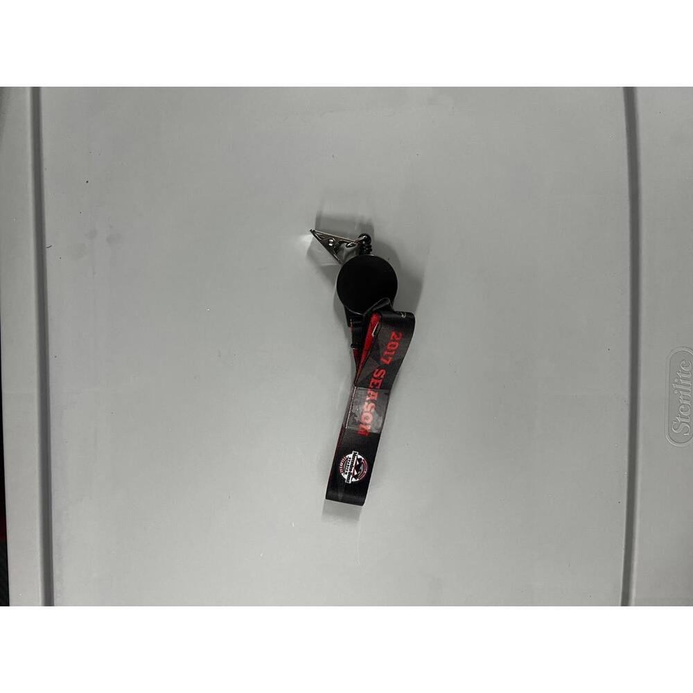 Atlanta falcons keychain